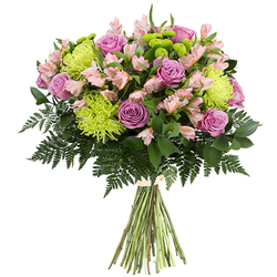 Ramo Multiflor Aqua