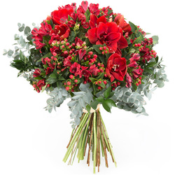 Especial Floresfrescas