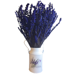 Lavanda Primaveral