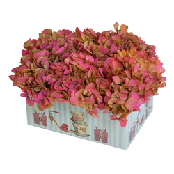 Caja con Hortensias Preservadas
