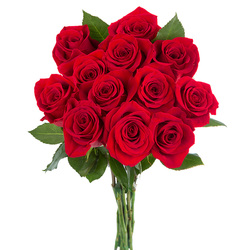 12 Rosas Tallo Corto