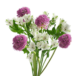 Alliums y Alstroemerias