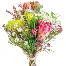 Flores Tropicales