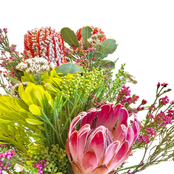Flores Tropicales