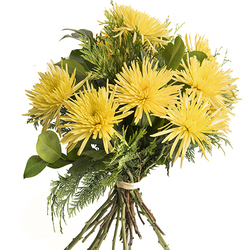 Ramo Anastasias en Flor