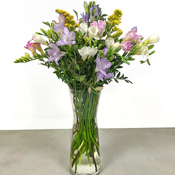 Bouquet de Freesias