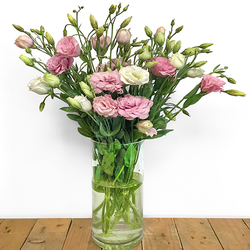 Lisianthus