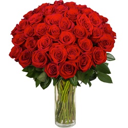 Ramo de 42 Rosas Rojas