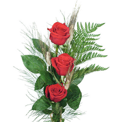 Tres Rosas con espigas