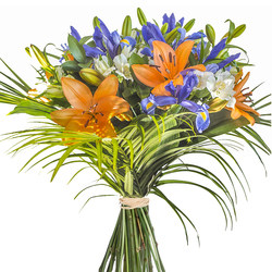 Ramo Multiflor Iris