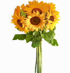 Ramo de GIRASOLES