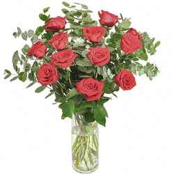 Ramo de 12 Rosas Rojas