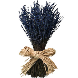 Lavanda Preservada